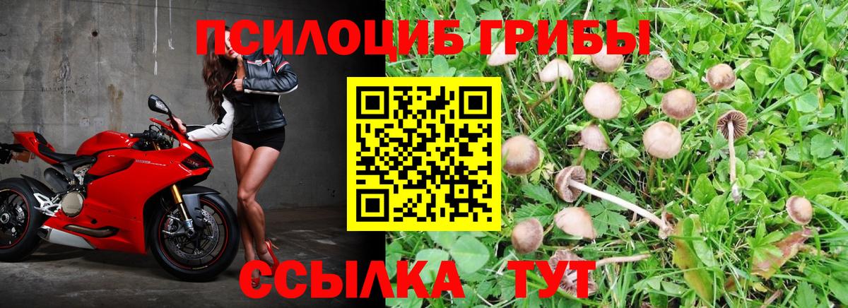 Псилоцибиновые грибы Magic Shrooms Белореченск