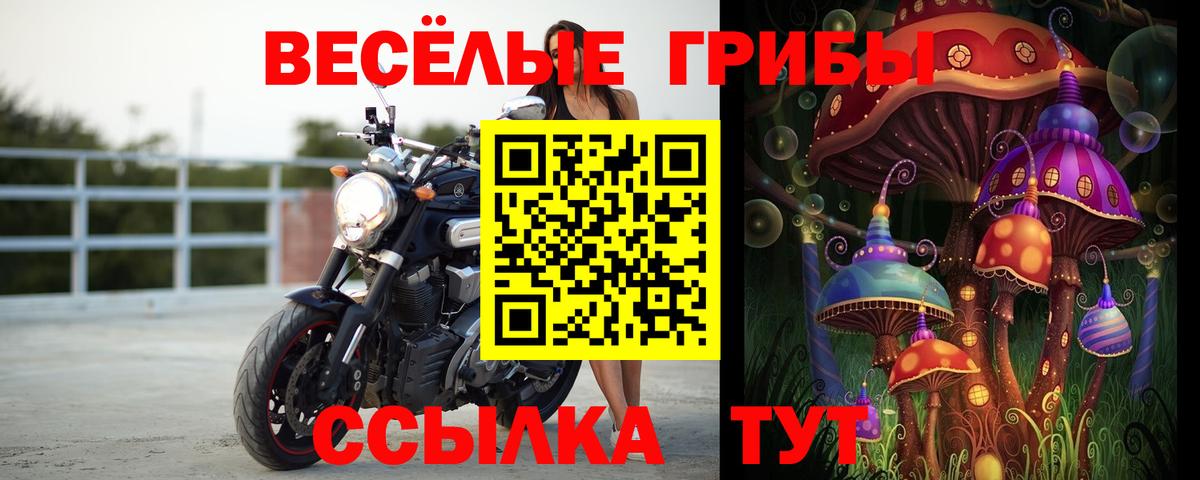 Псилоцибиновые грибы Psilocybe  Вход с VPN  Галлюциногенные грибы ЛСД  Белореченск 